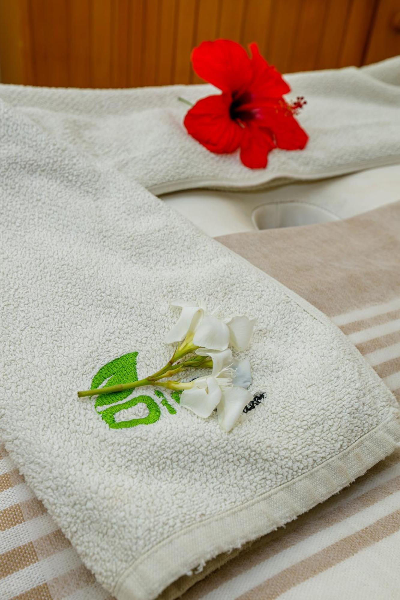 Iris & Thalasso فندق
